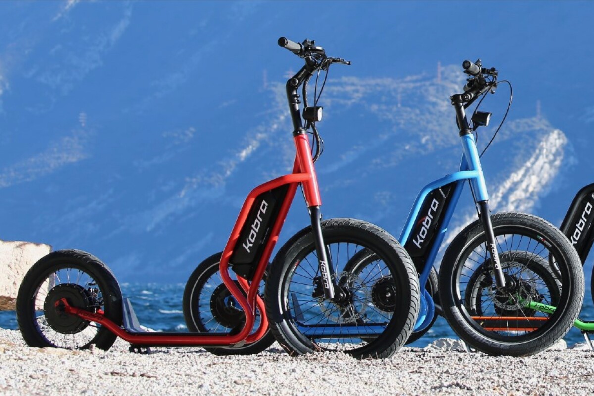 Large wheel deals scooter for adults